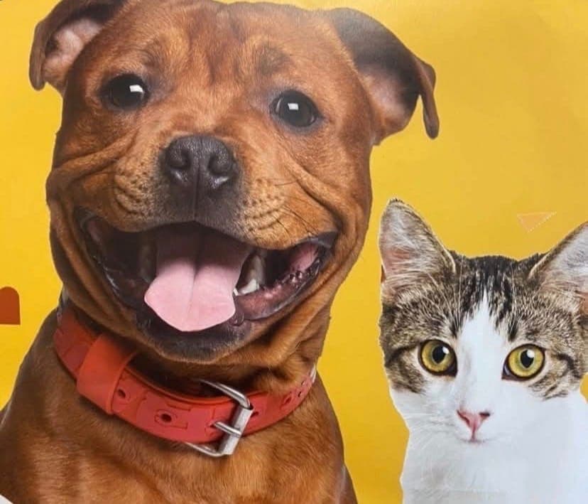 Petsense Fall Adopt-a-thon, Fundraiser & Community Event