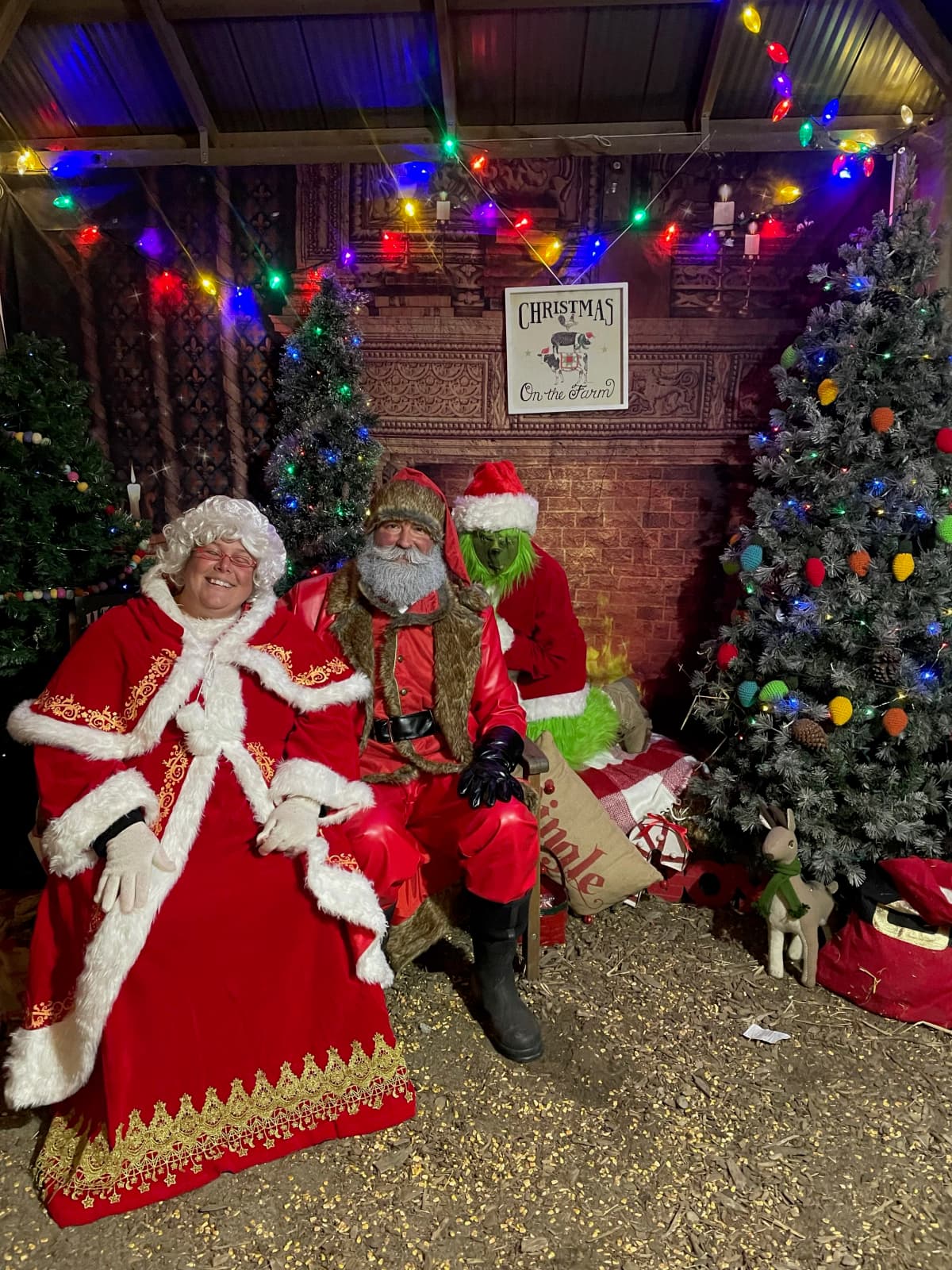 Cover image for Farm Festival of Light