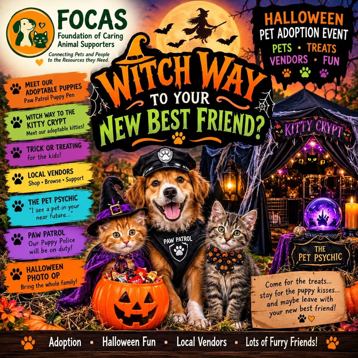 Witch Way To Your New Best Friend