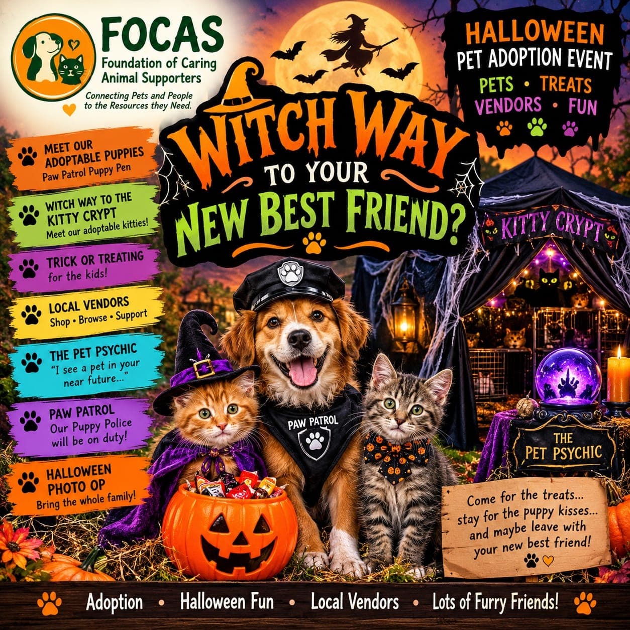 Witch Way To Your New Best Friend