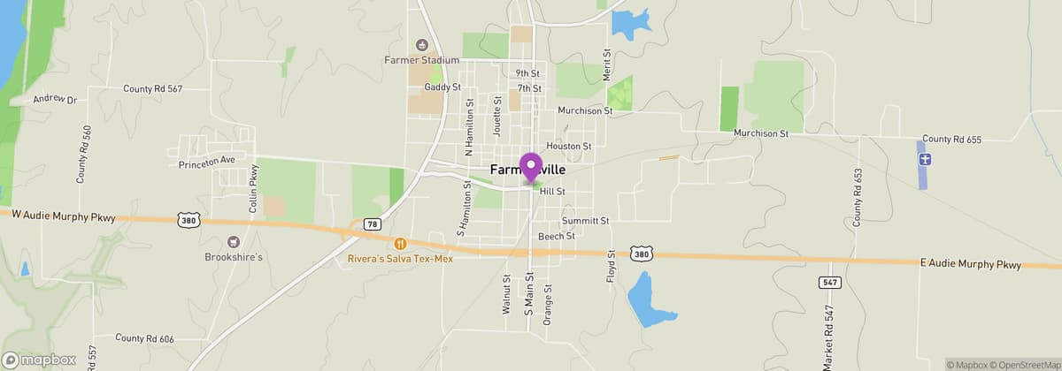 Farmersville Summer Market