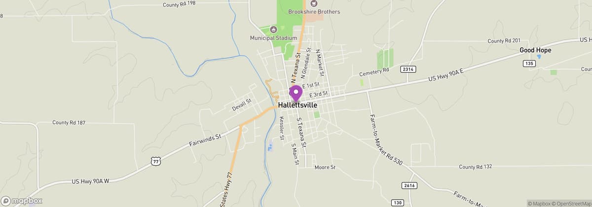 Hallettsville Holiday Market Days