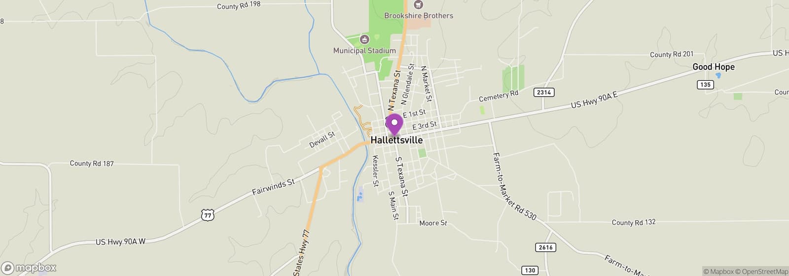 Hallettsville Holiday Market Days