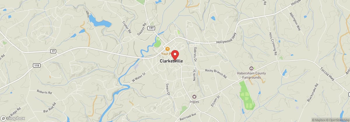 Mountain Laurel Festival