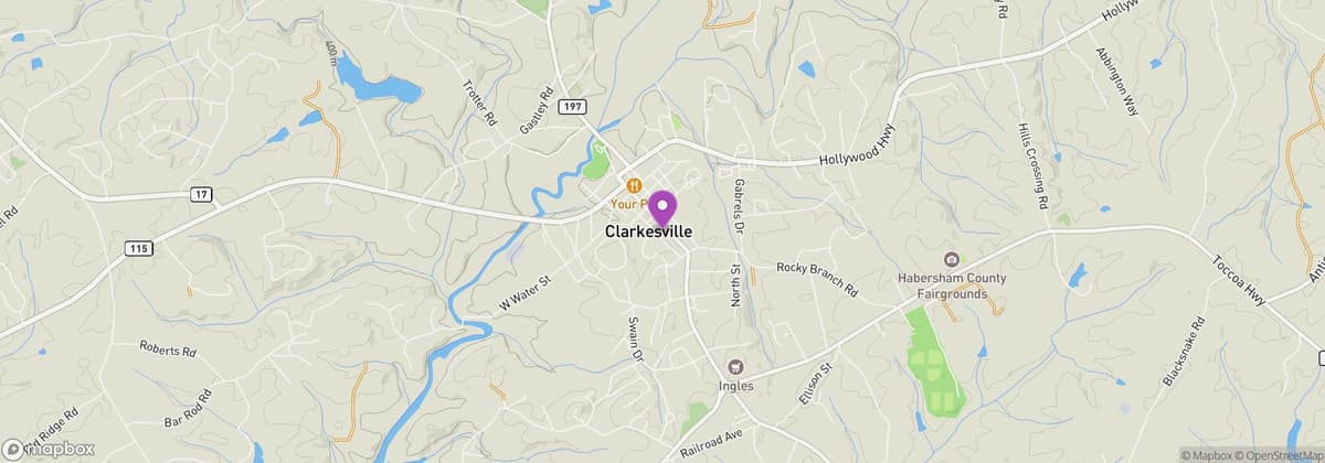 Old Clarkesville Spring Market