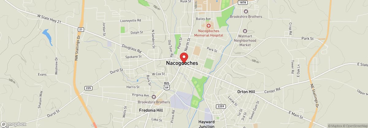 Texas Blueberry Festival - Nacogdoches
