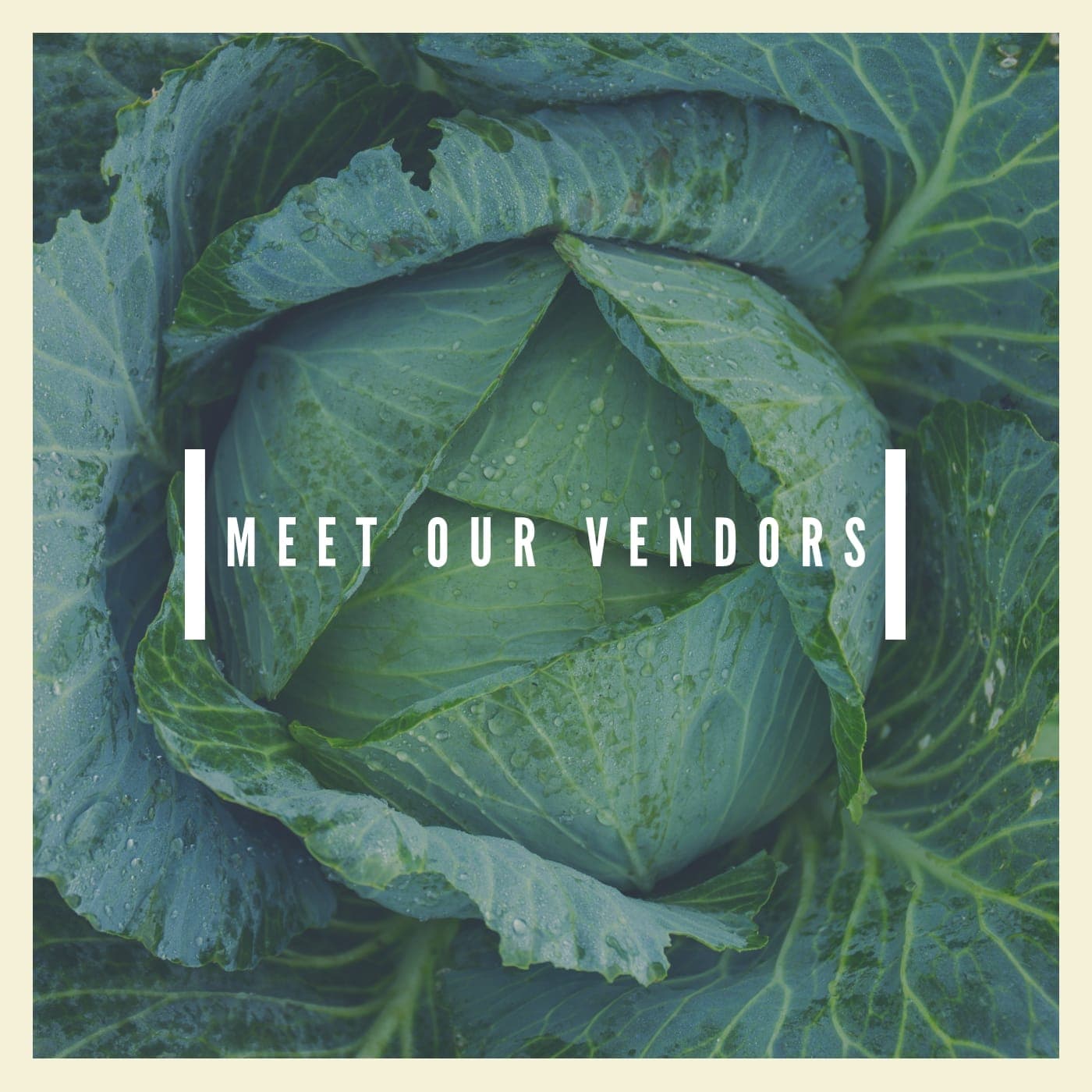 Doylestown Farmers Market