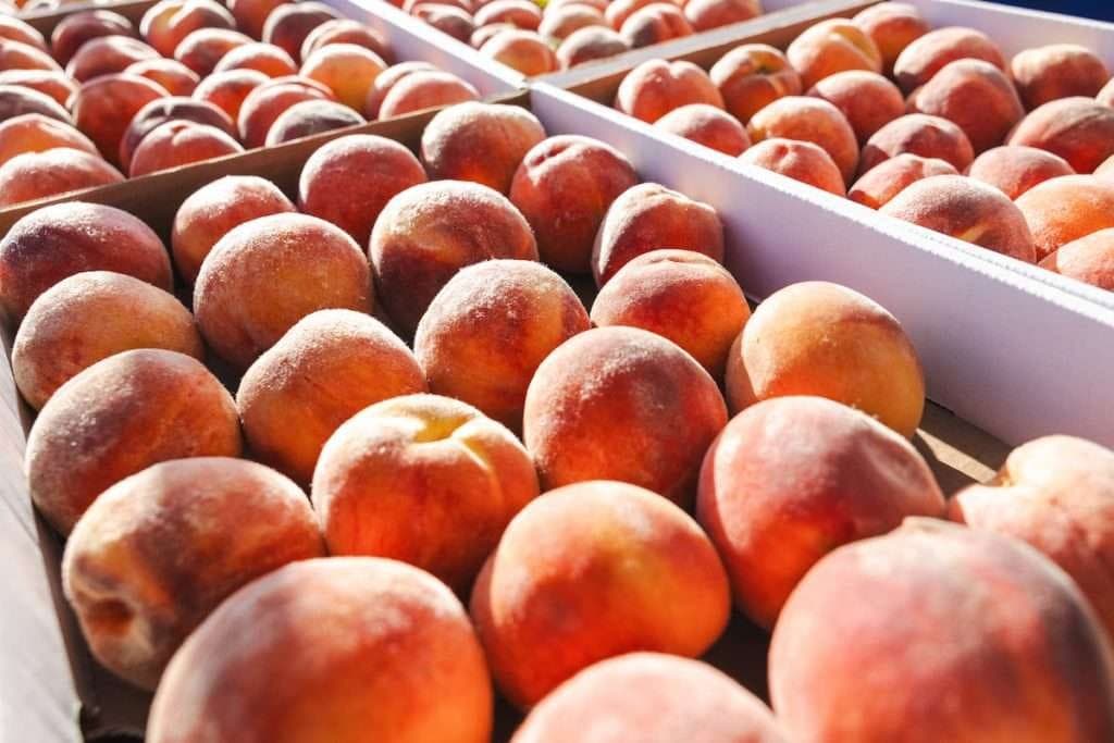 Boulder County Farmers Market
