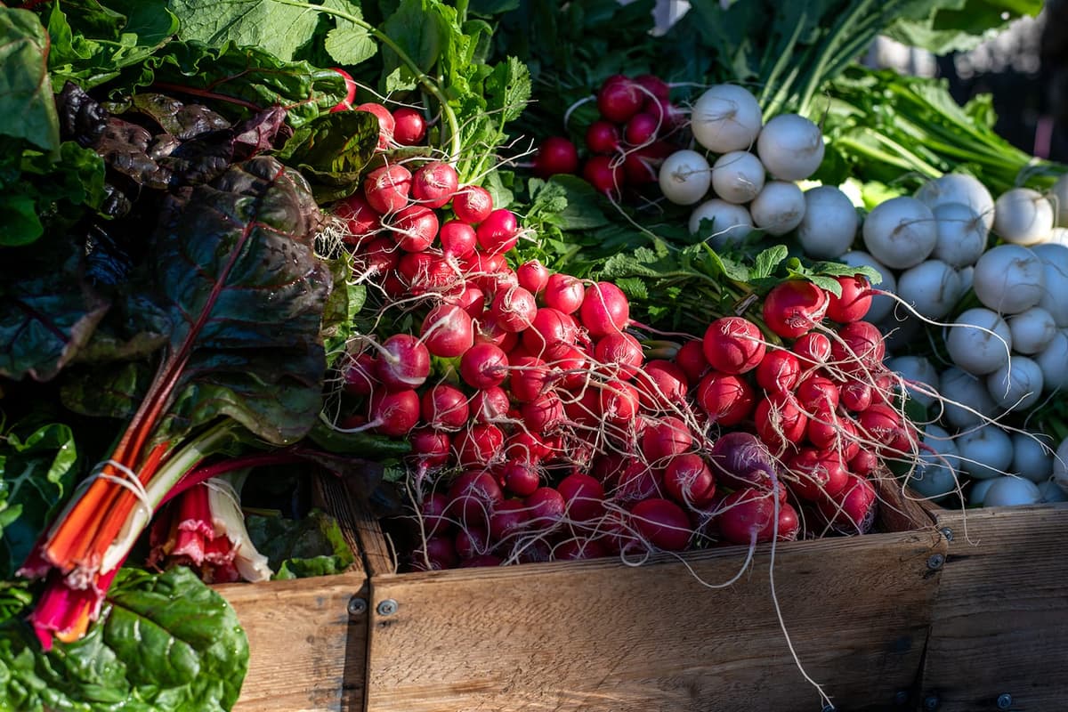 McKinney Farmers Market at Chestnut Square