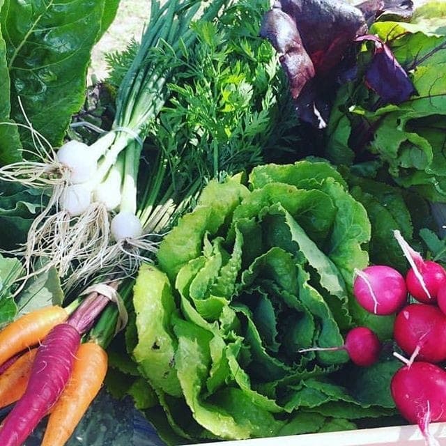 Texarkana Farmers Market