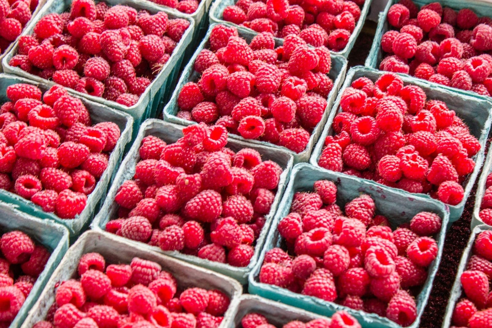 Bridgeland Riverside Farmers Market 2027