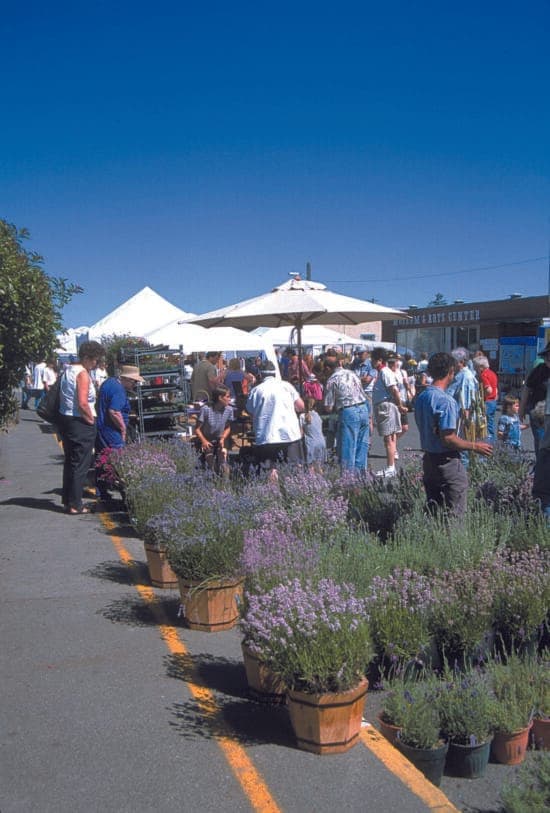 Sequim Lavender Weekend Artisan Market