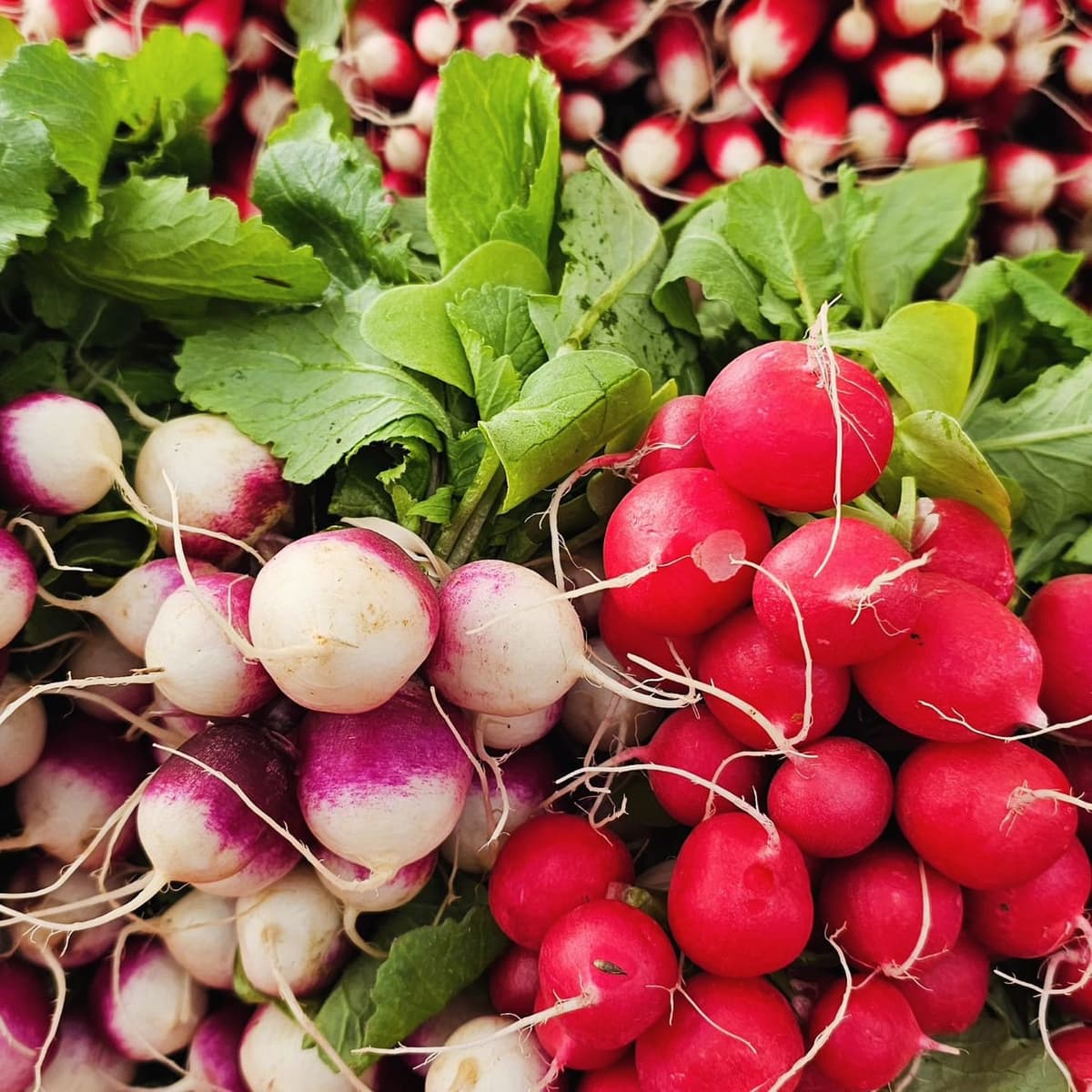 Brambleton Farmers Market