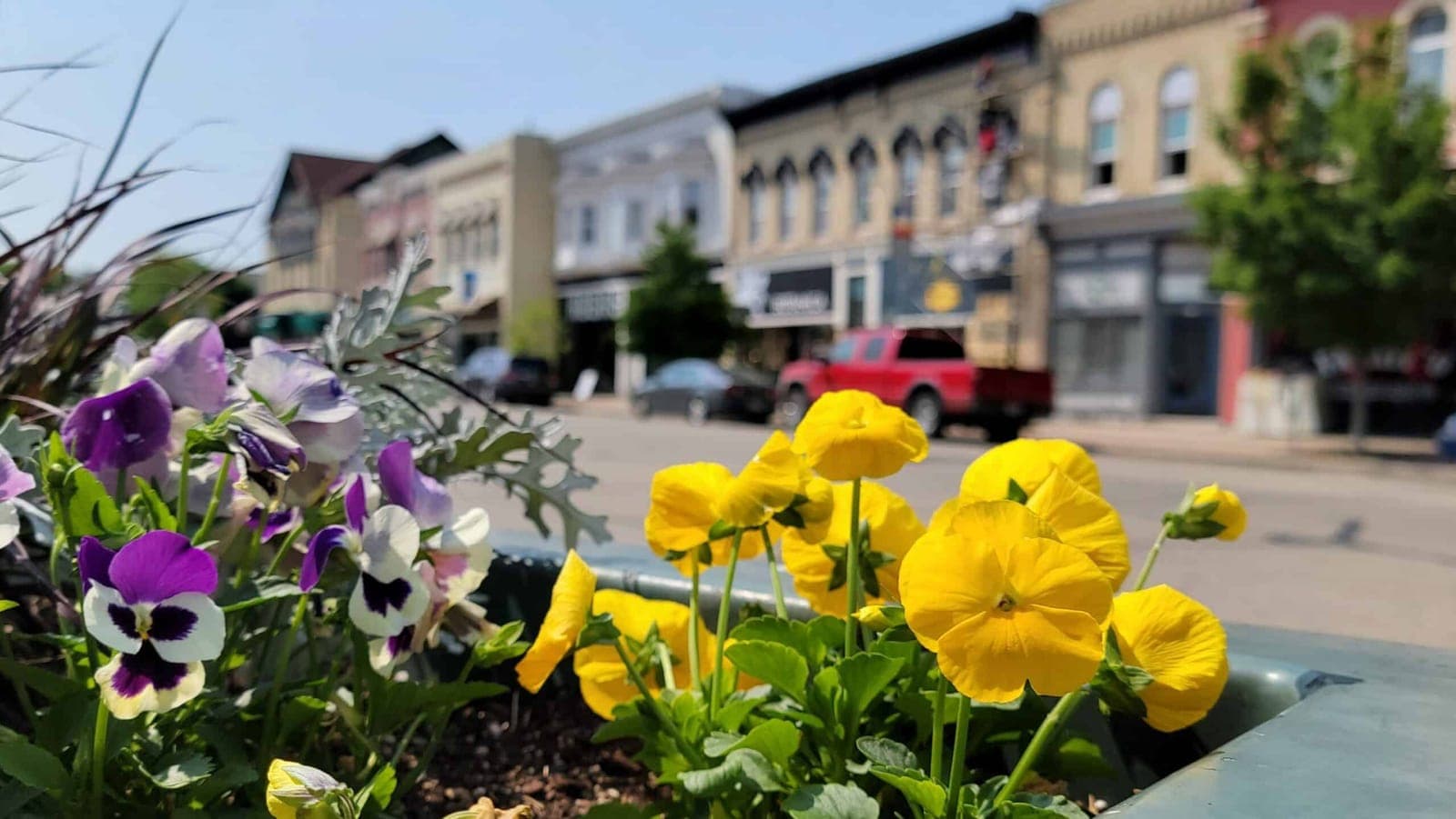 Whitewater City Market