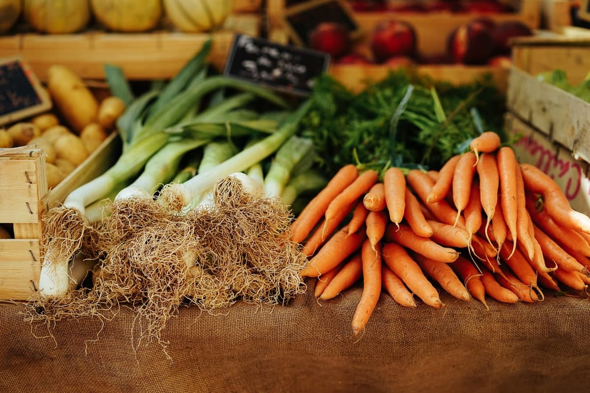 Downtown South Boston Farmers' Market