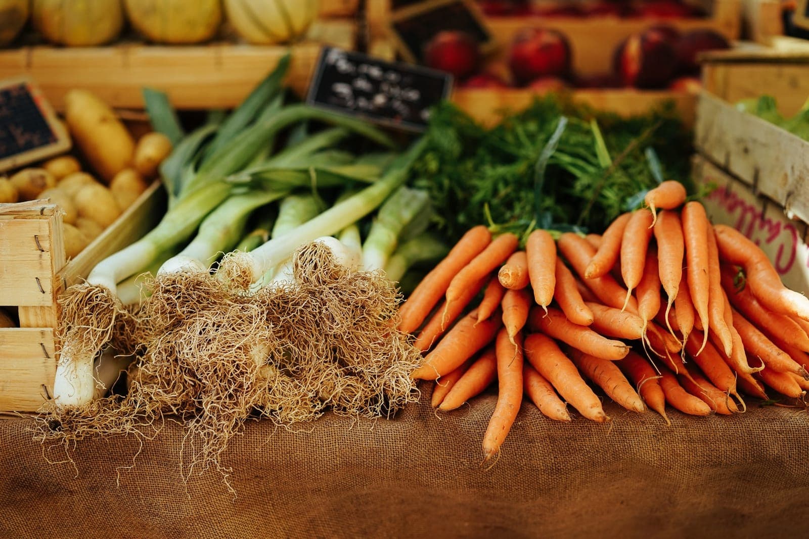 Downtown South Boston Farmers' Market