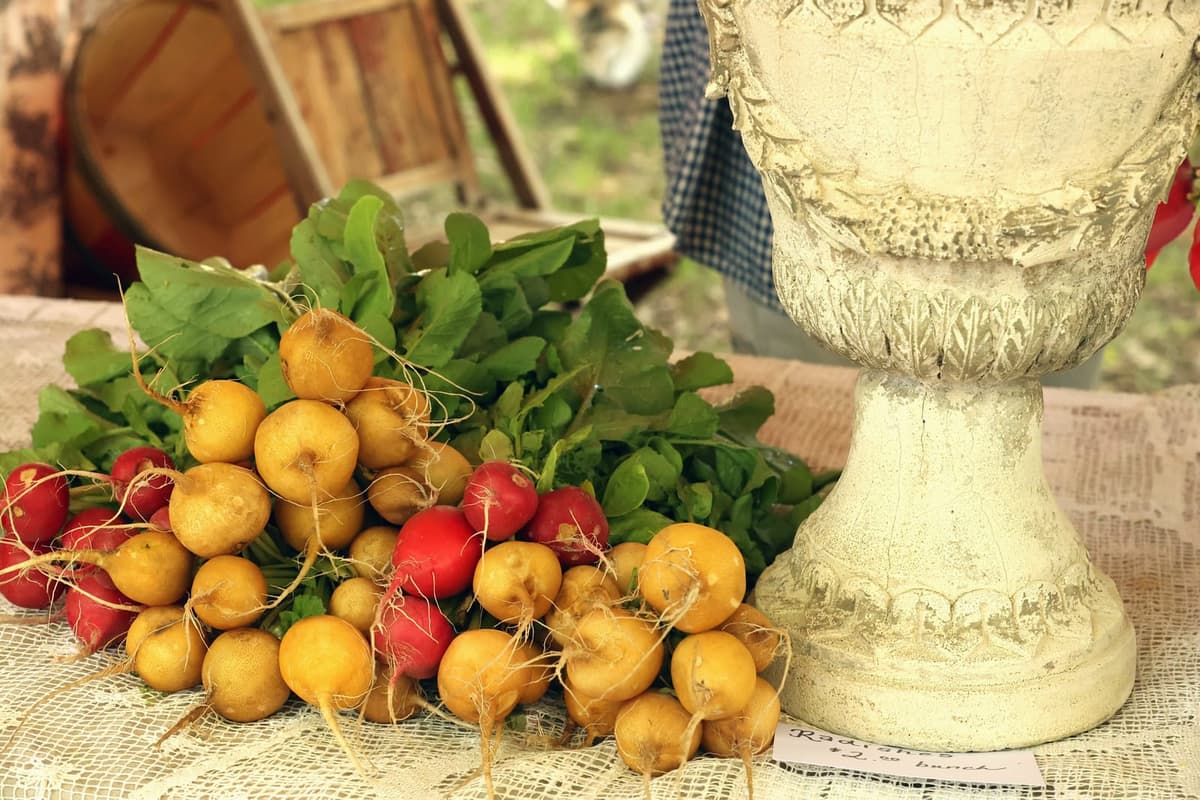 Chewelah Farmers Market