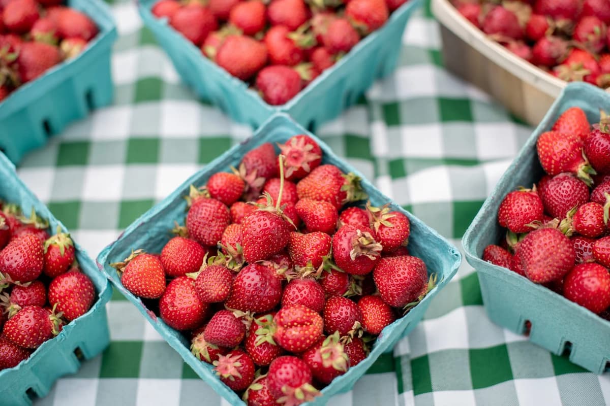 North Union Farmers Market at Shaker Square