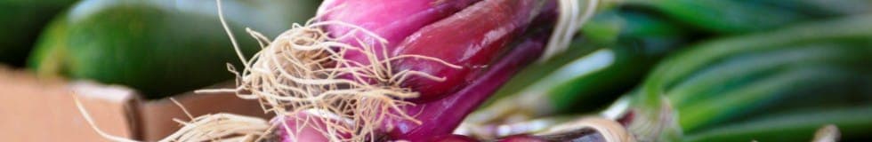 Farmers' Market at Poplar Grove