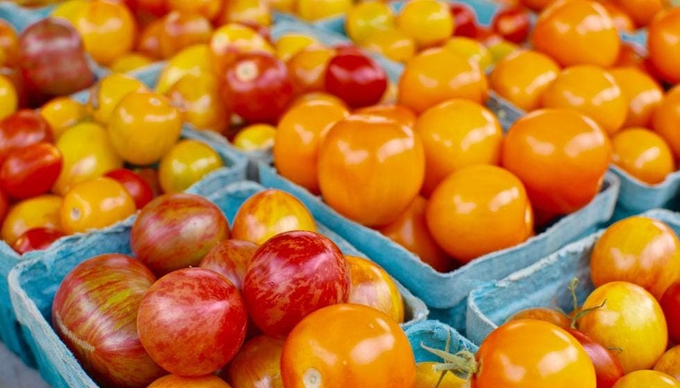 Dane County Farmers Market - Wednesday Market