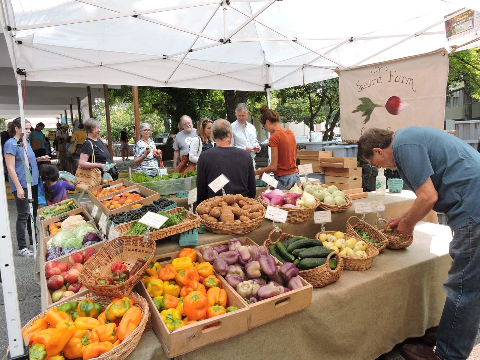 Lane County Farmers Market