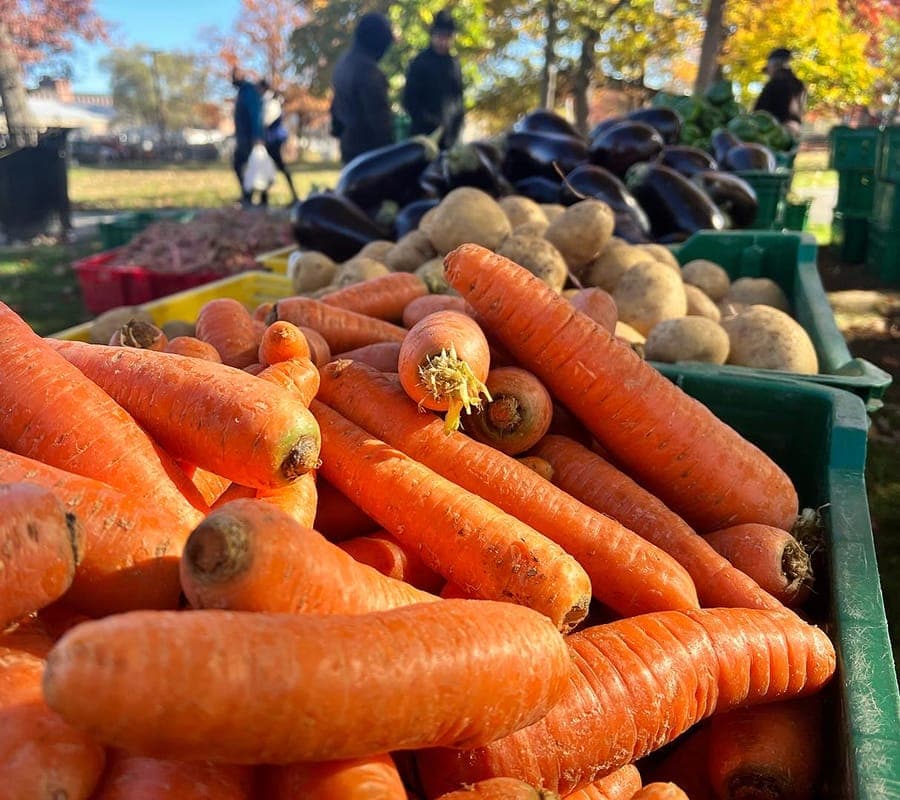 Methuen Farmers Market