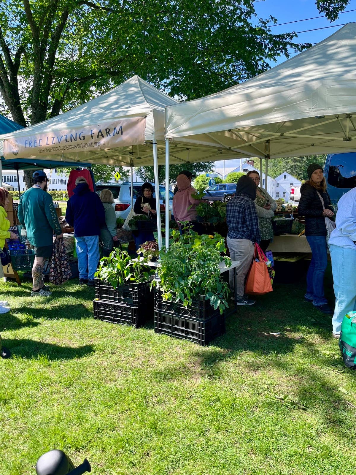 Sturbridge Farmers Market