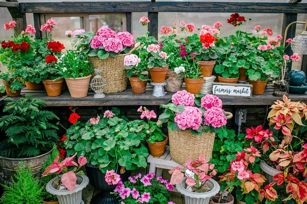 Downtown Saginaw Farmers Market 2026