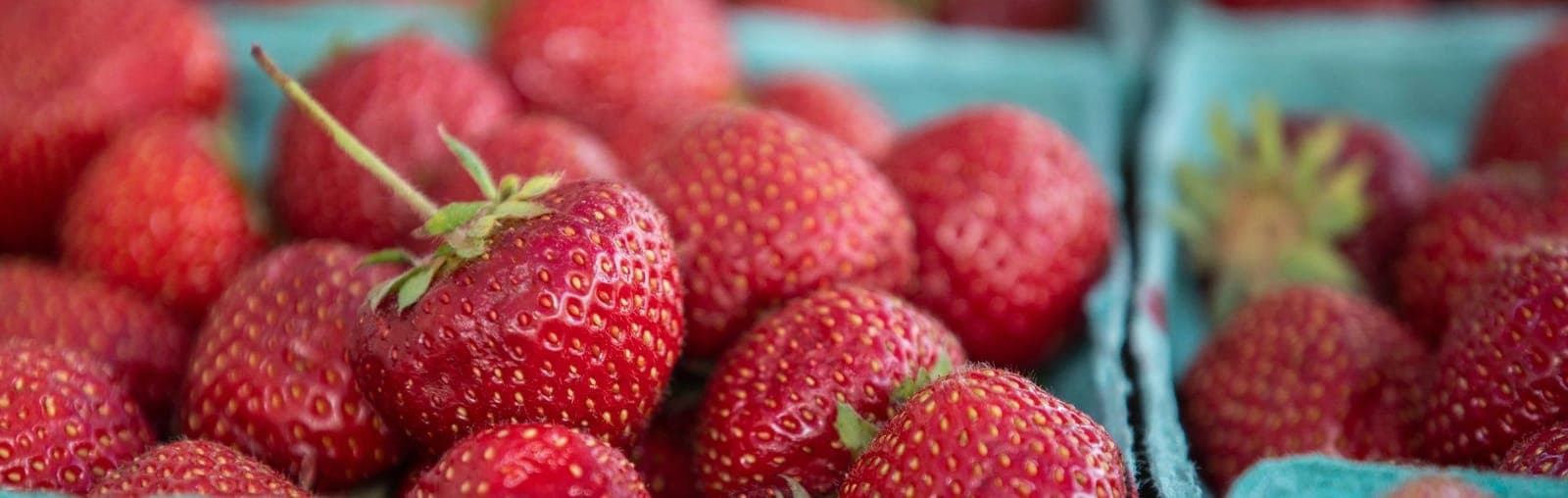52nd and Haverford Farmers' Market