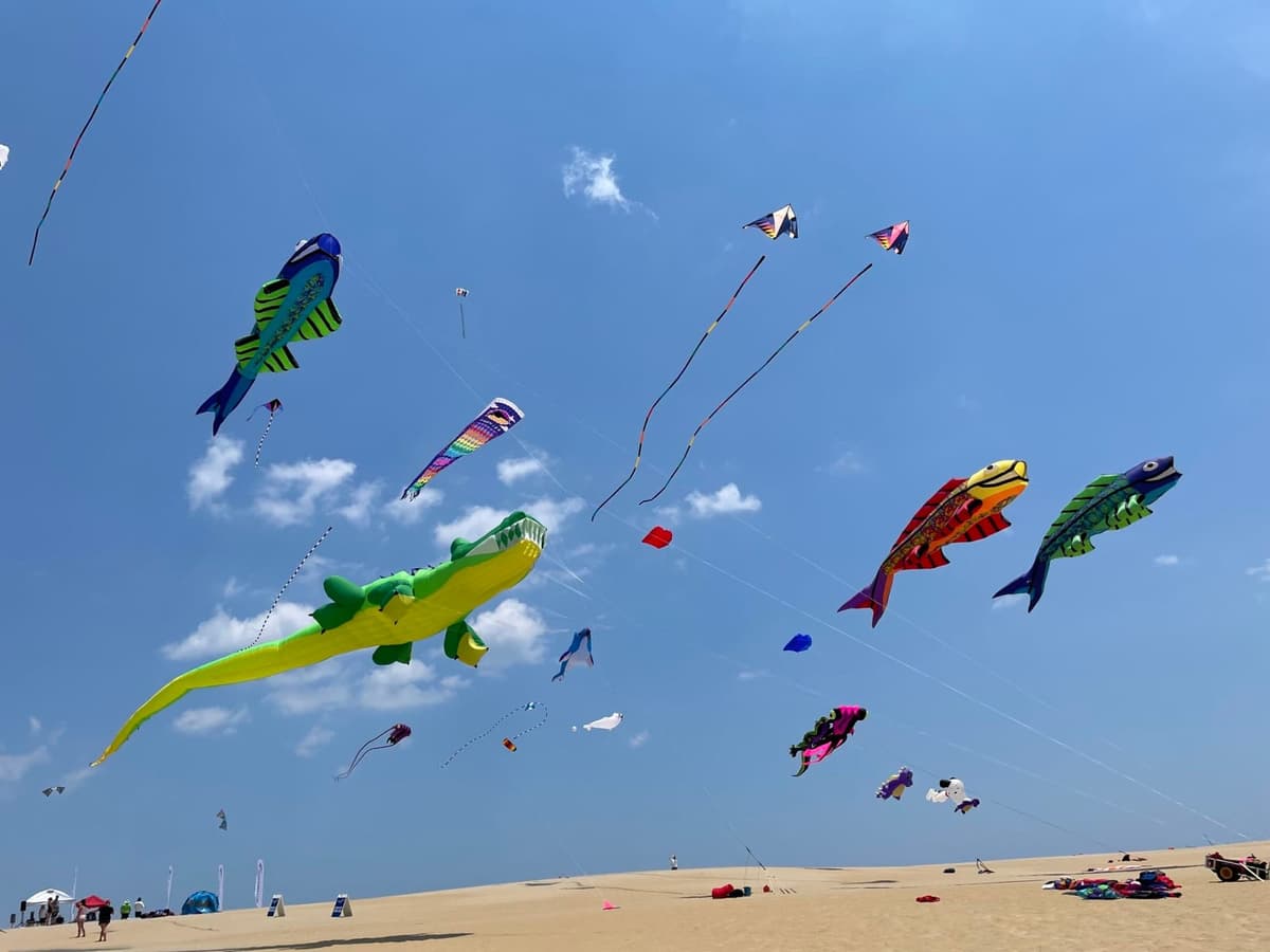 Rogallo Kite Festival