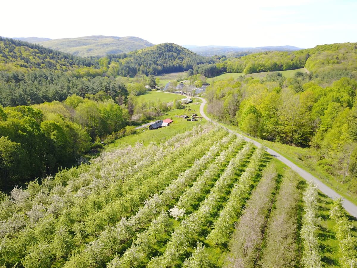 Heirloom Apple Day at Scott Farm