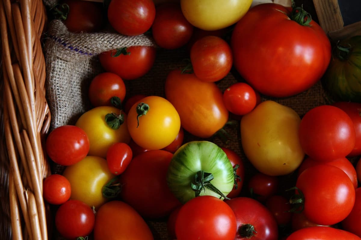 Fairmont Hometown Market and Tomato Festival