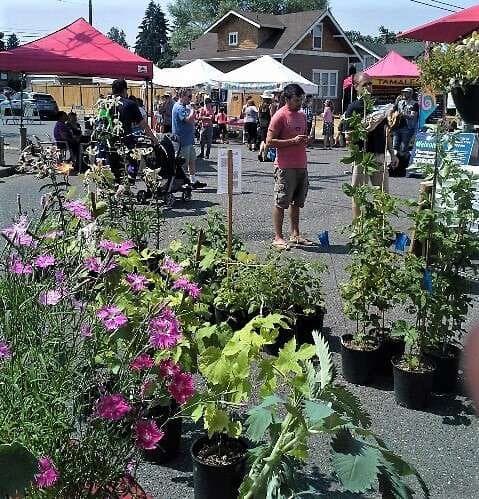 Proctor Farmers Market Tacoma