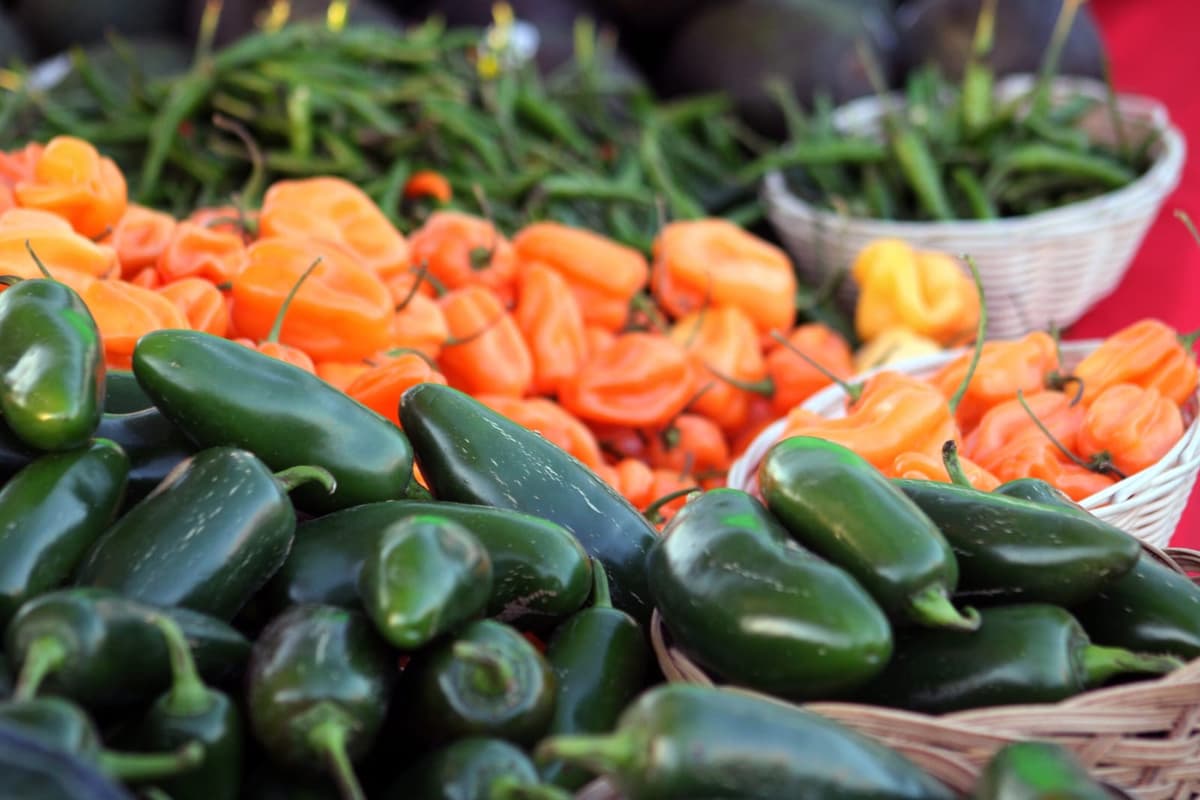 Old Town Farmers Market