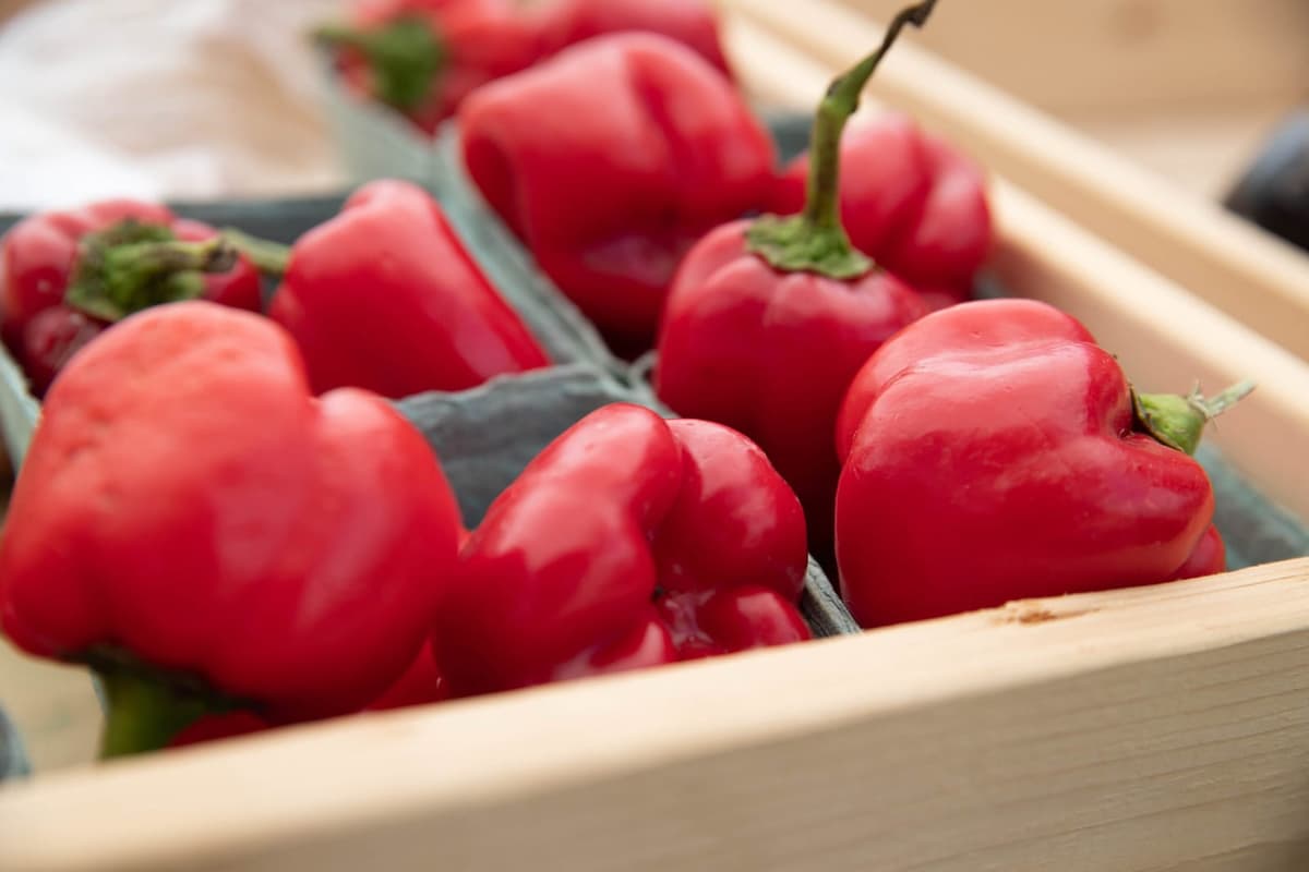 Friendswood Farmers Market