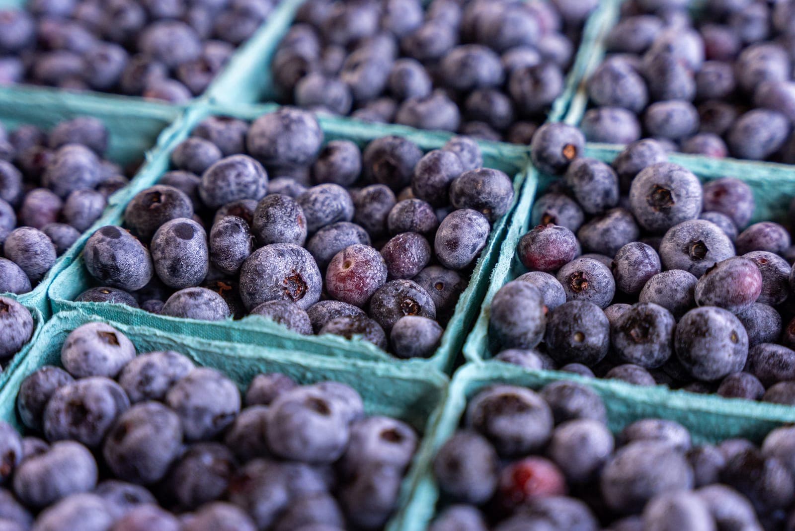 Harrisonburg Farmers Market