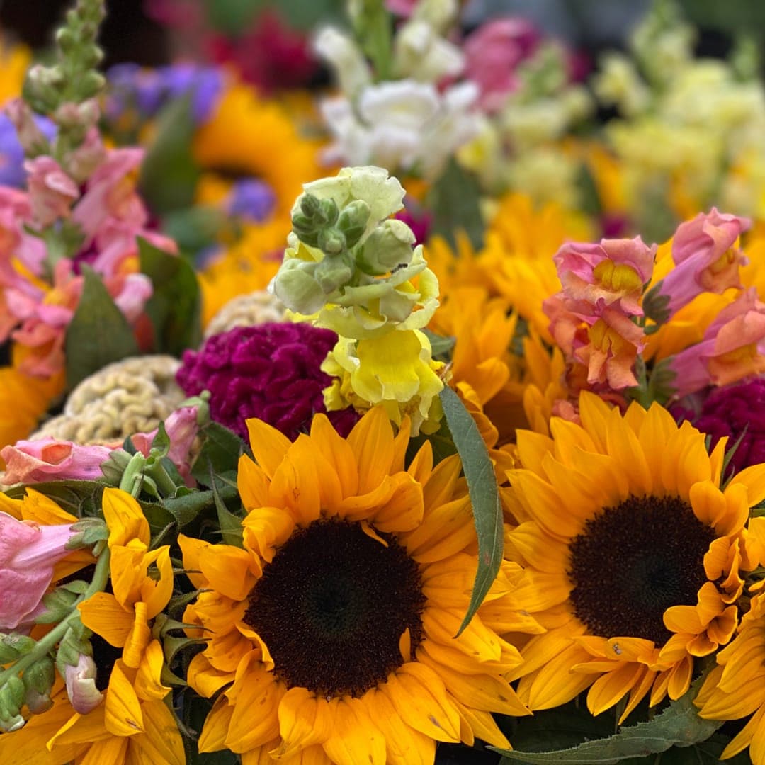 Pleasantville Farmers Market