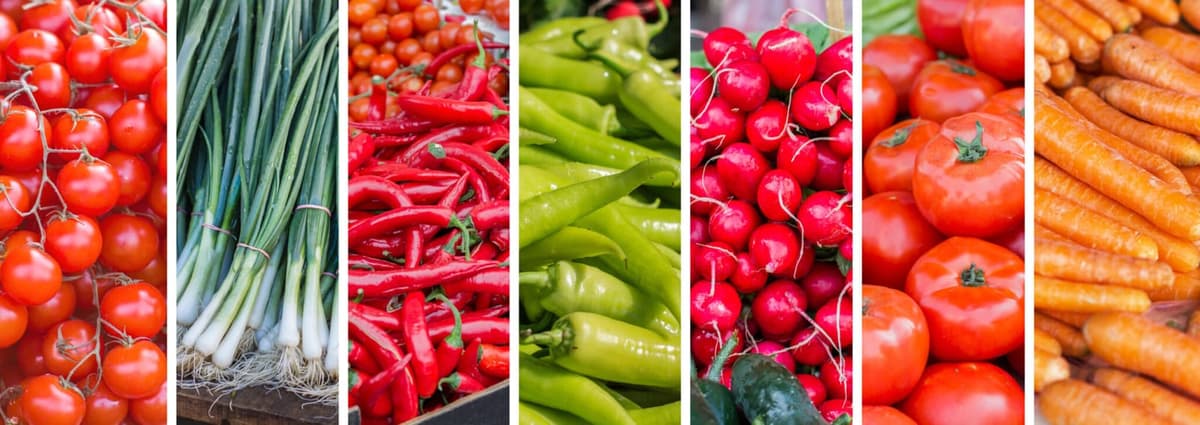 Menominee Historic Downtown Farmers Market Association-Summer