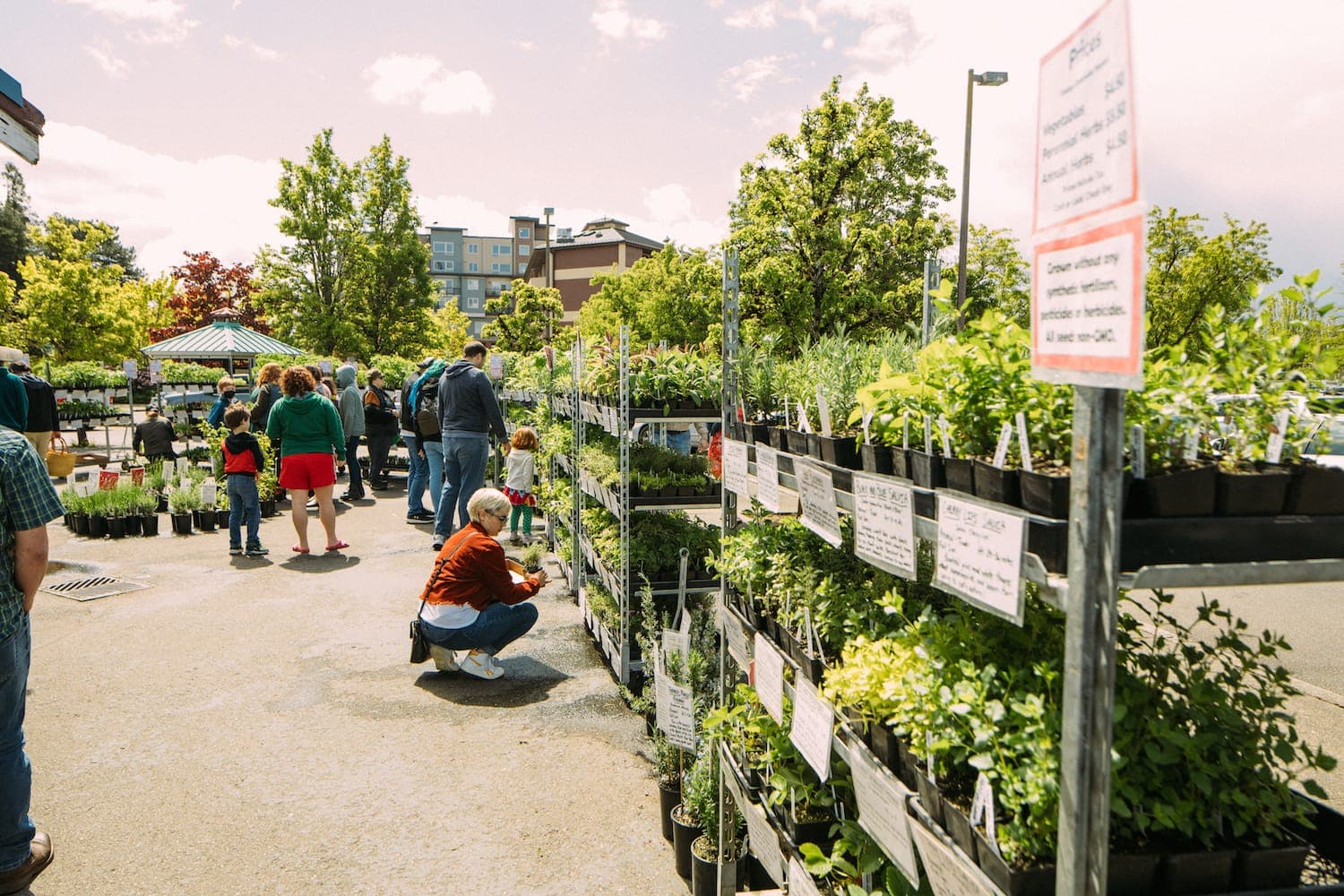 Olympia Farmers Market