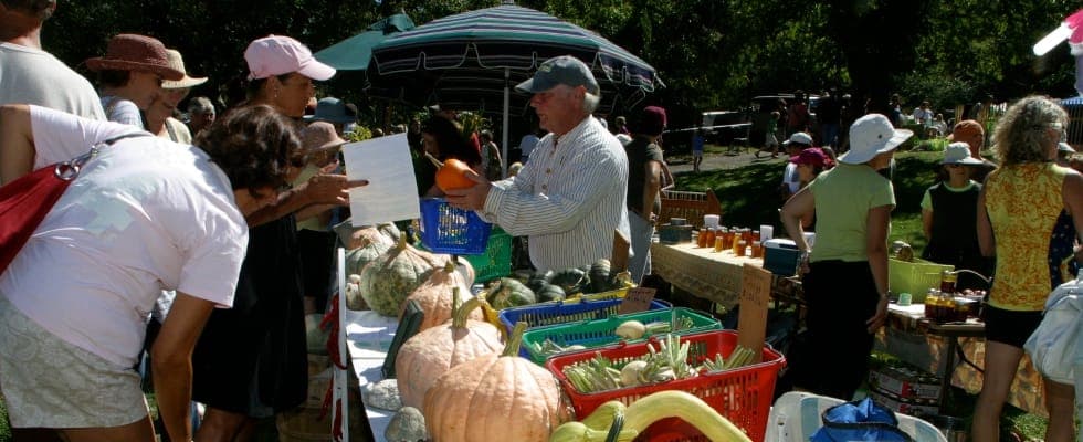 Truro Educational Farmers Market