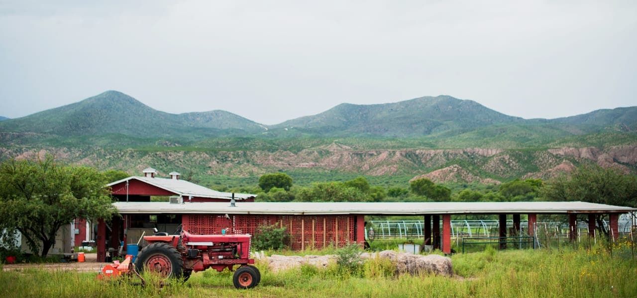 Heirloom Farmers Markets at Scottsdale