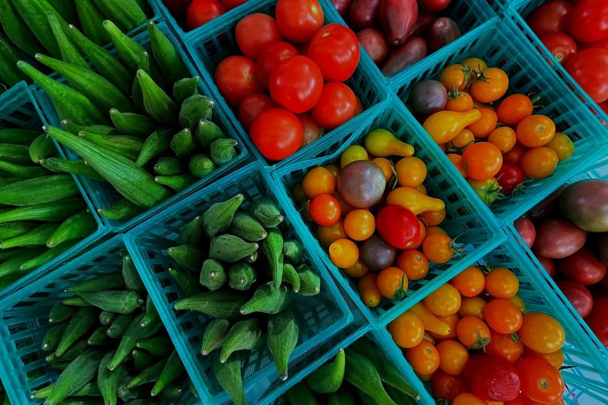 Albuquerque Downtown Growers Market