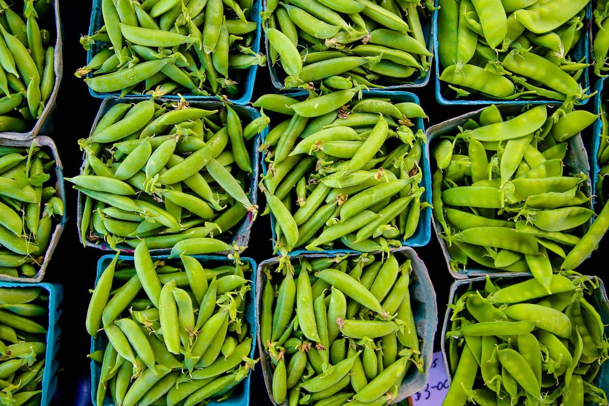 Stevens Point Farmers Market
