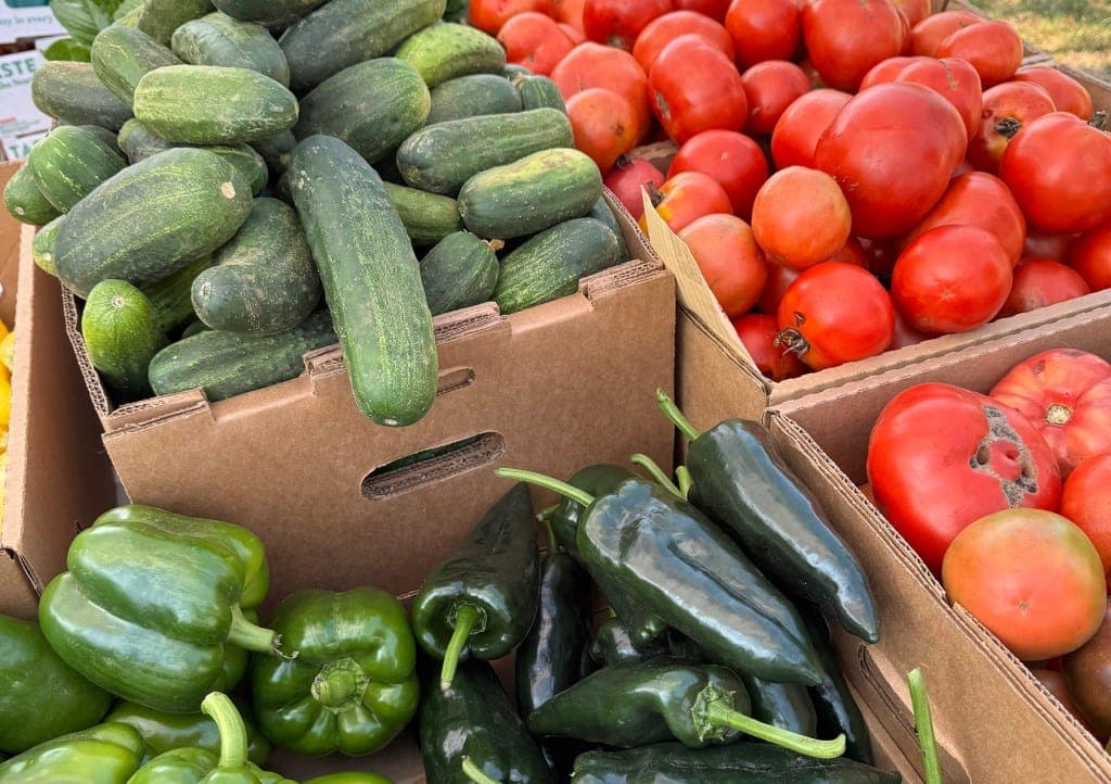 Swampscott Farmers Market