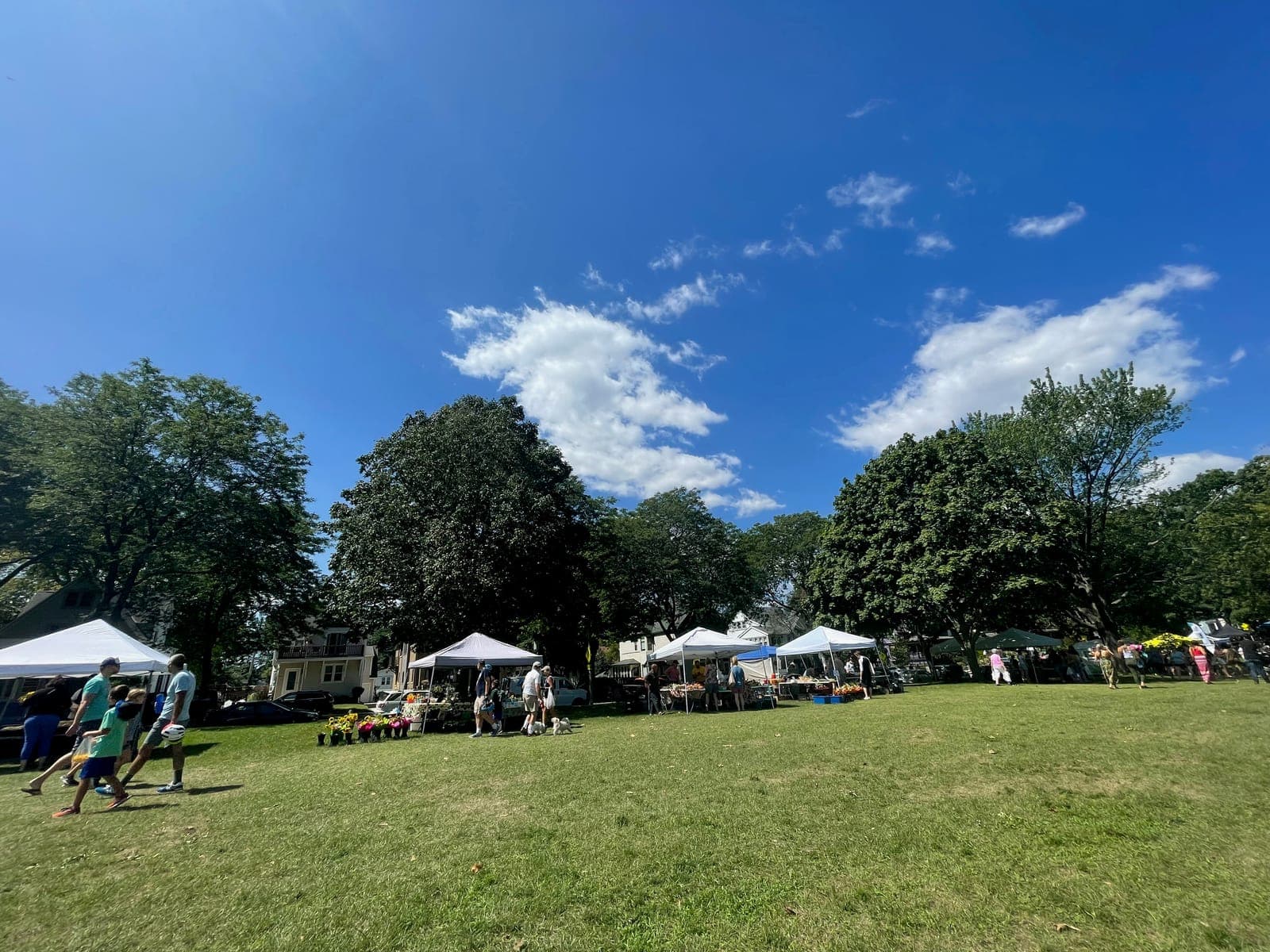 South Shore Farmers Market