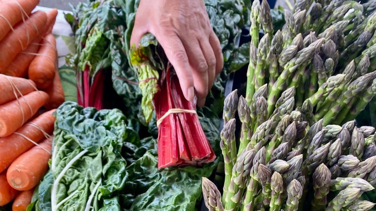 Memphis Farmers Market