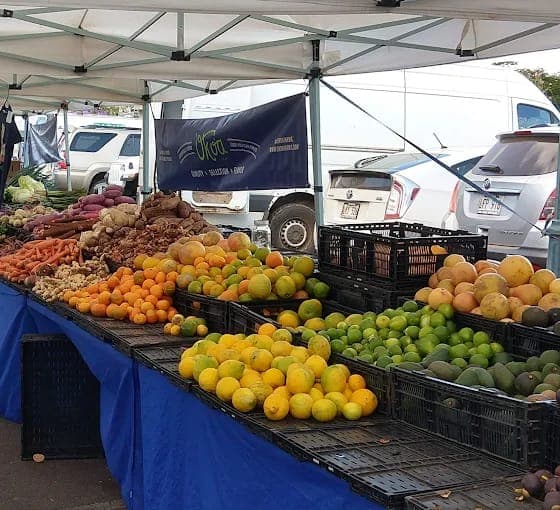 Upcountry Farmers Market Maui