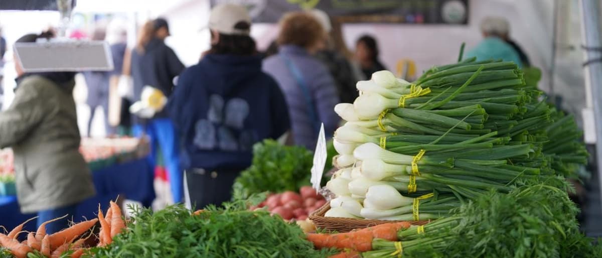 Lake Oswego Farmers Market