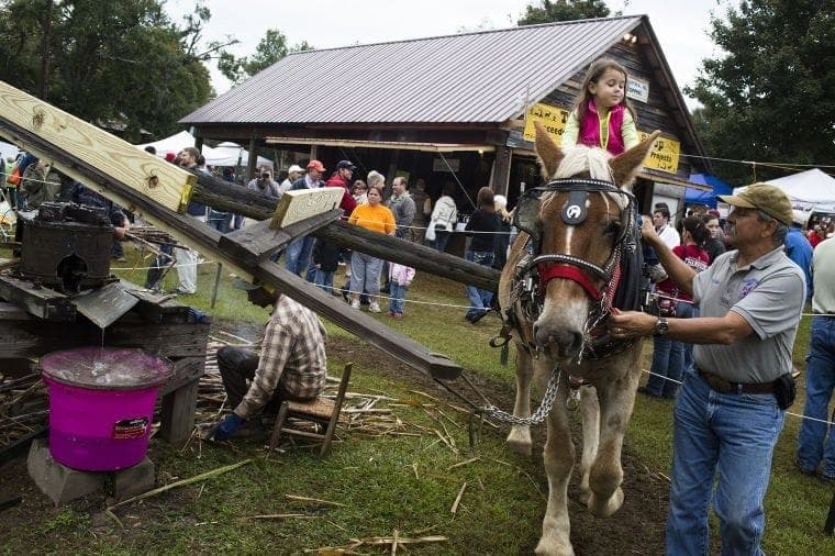 Syrup Sopping Day at Loachapoka