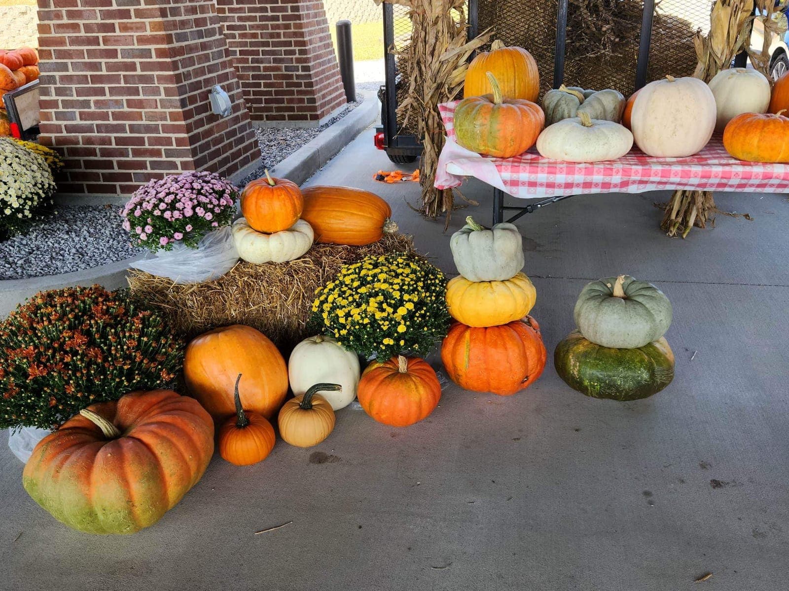 Hopkins County Farmers Market Madisonville